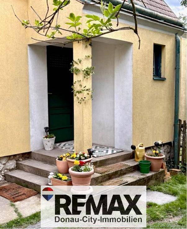 Eingangsbereich des Hauses mit Stufen, Säule und dekorativen Blumentöpfen.
