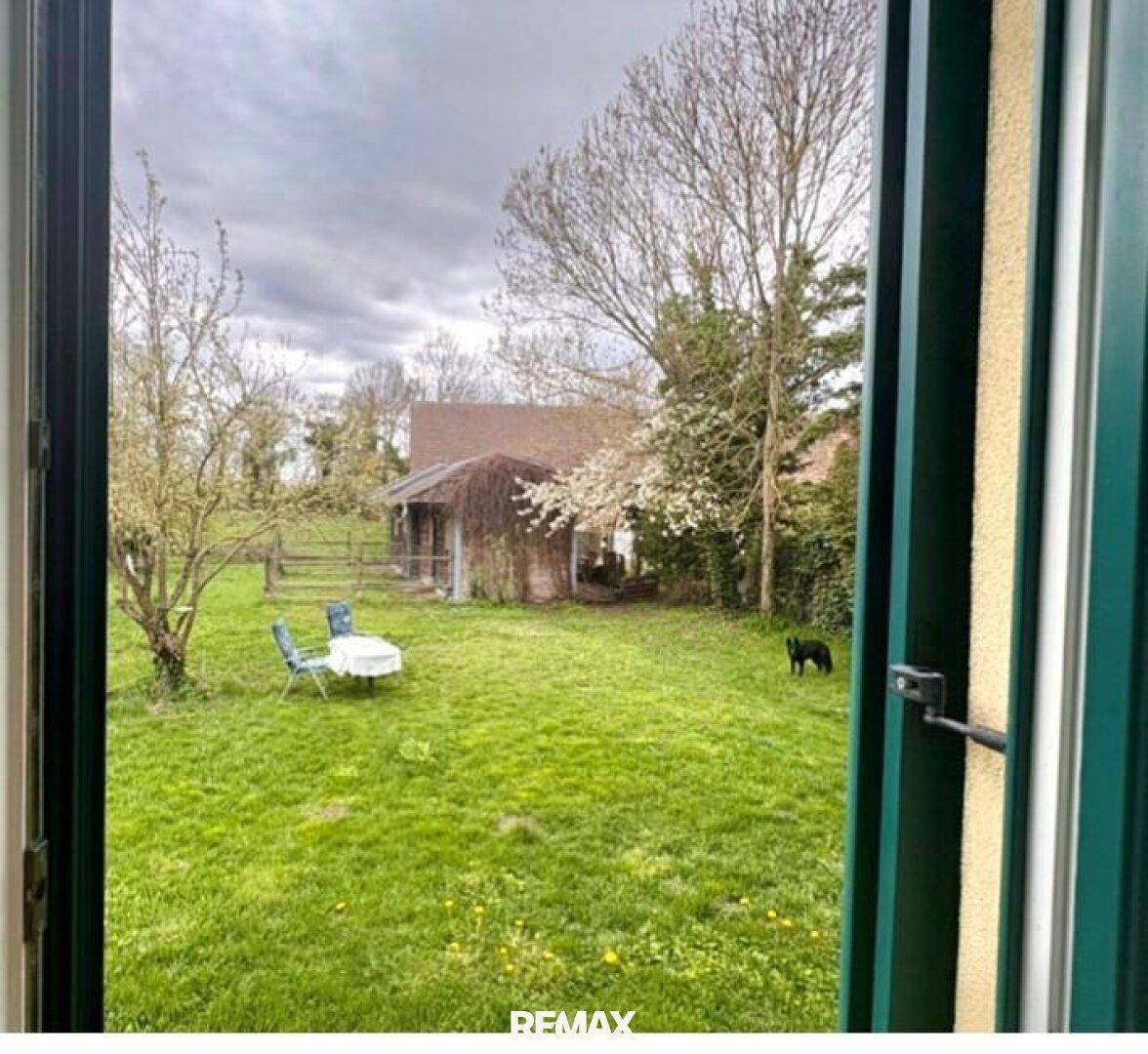 Blick aus dem Fenster auf einen weitläufigen grünen Garten mit Bäumen und Sitzgelegenheiten.