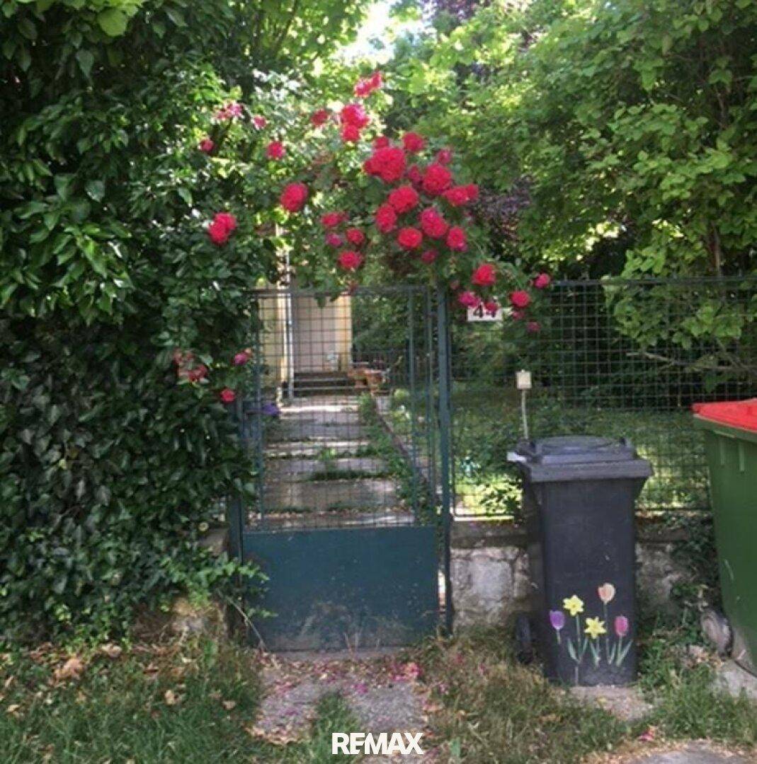 Grünes Gartentor mit blühenden roten Rosen, das zum Grundstück führt, umgeben von Vegetation.