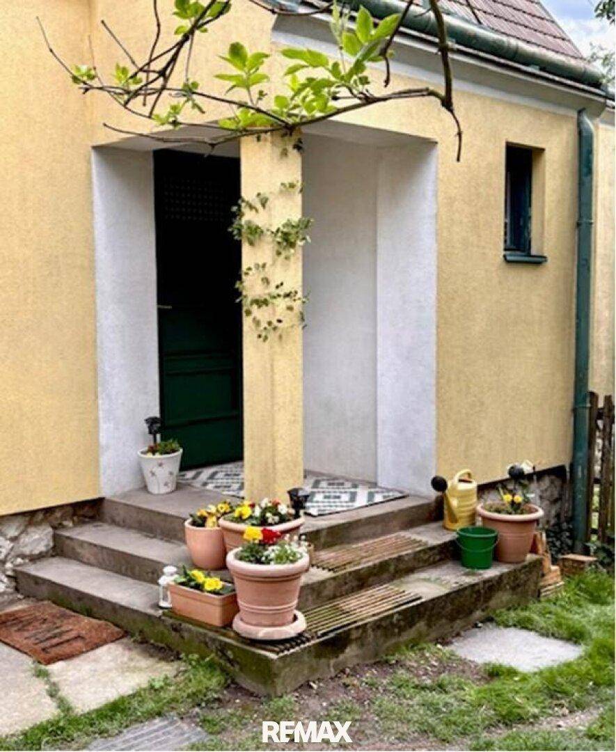 Eingangsbereich des Hauses mit Steinstufen und Topfpflanzen, einladend gestaltet.