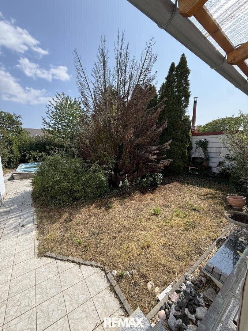 Gartenbereich mit Rasenfläche, Bäumen und einem kleinen Pool im Hintergrund.