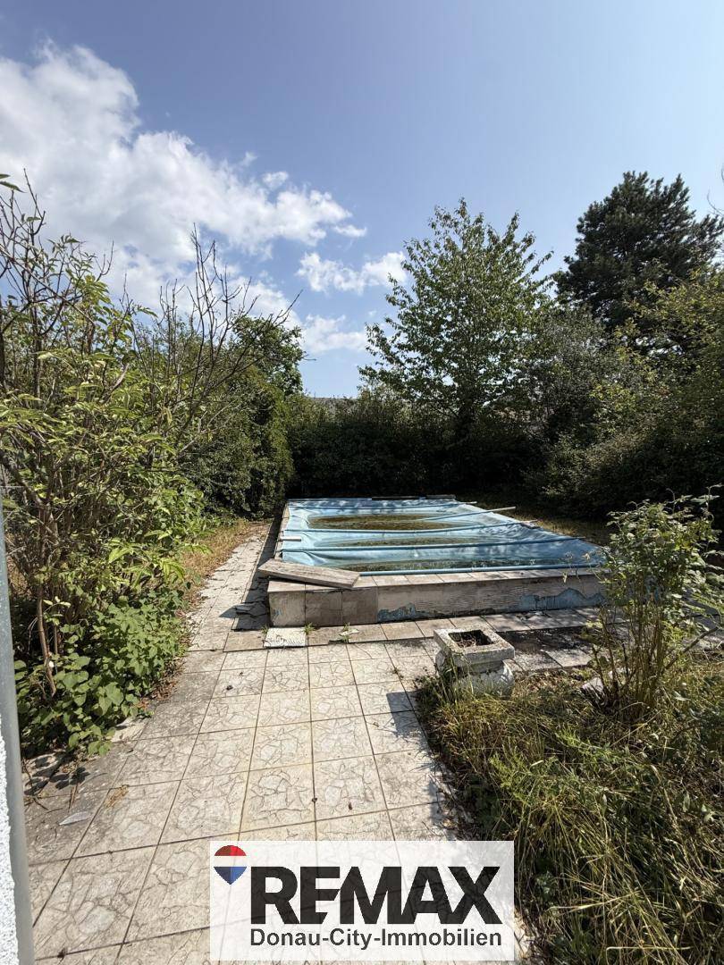Gartenbereich mit einem abgedeckten Pool, umgeben von Bäumen und Sträuchern.