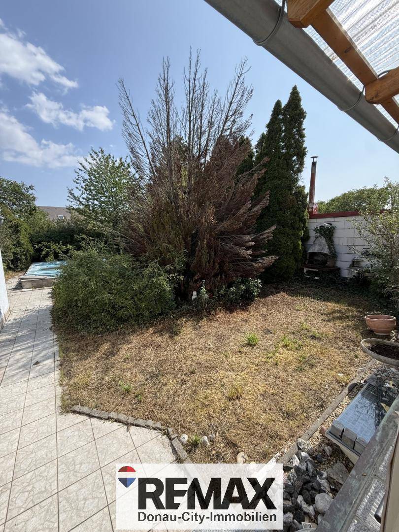 Gartenbereich mit Rasenfläche, Bäumen und Sträuchern, der auf eine Renovierung wartet.