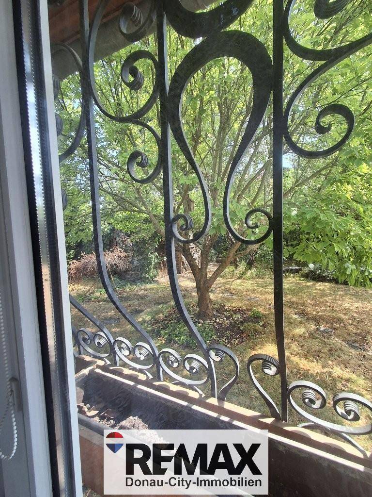 Blick aus dem Fenster auf den grünen Garten mit Bäumen und Sträuchern.