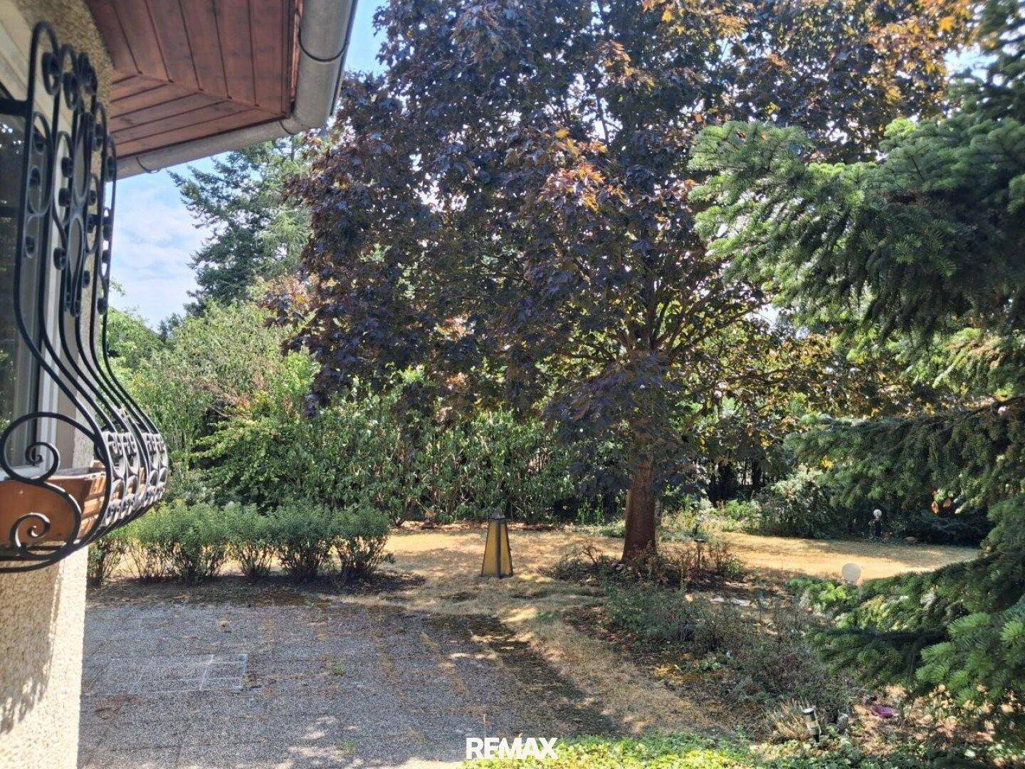 Blick in den weitläufigen Garten mit alten Bäumen und trockenem Rasenbereich.
