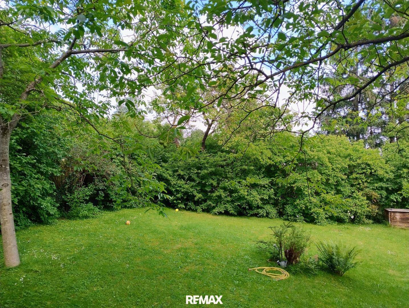 Weitläufiger grüner Garten mit üppiger Vegetation und viel Platz zum Entspannen.