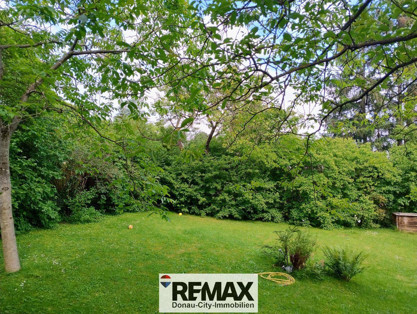 Weitläufiger, gepflegter Garten mit üppigem Grün, hohen Bäumen und Sträuchern, ideal zum Entspannen.