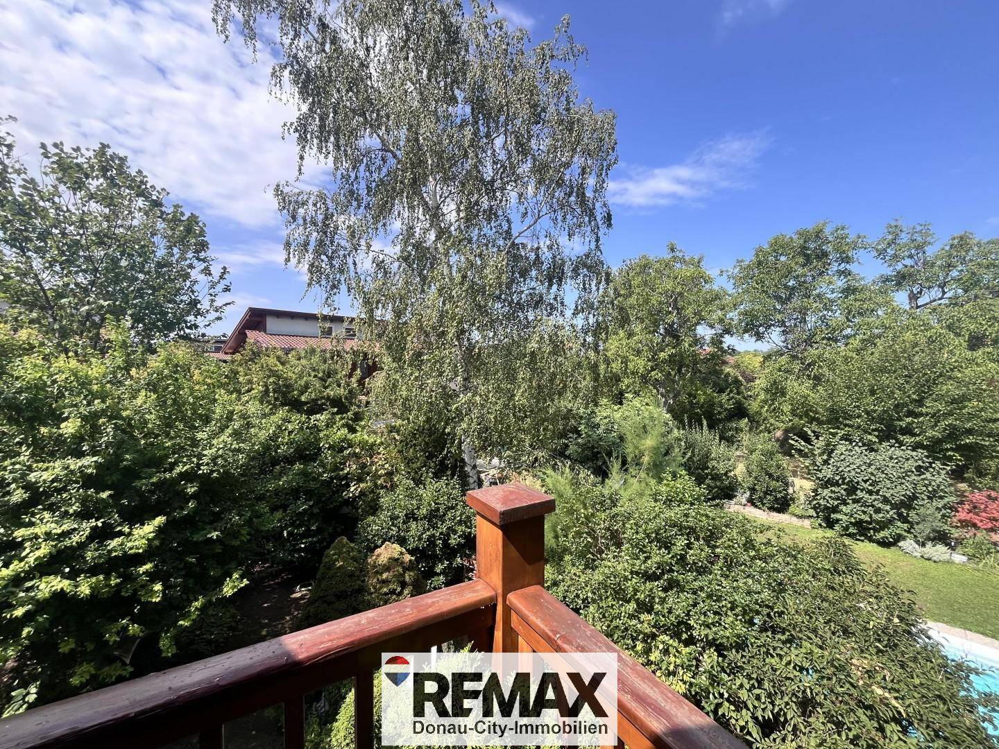 Panoramablick vom Balkon ins Grüne mit hohen Bäumen und viel Natur.