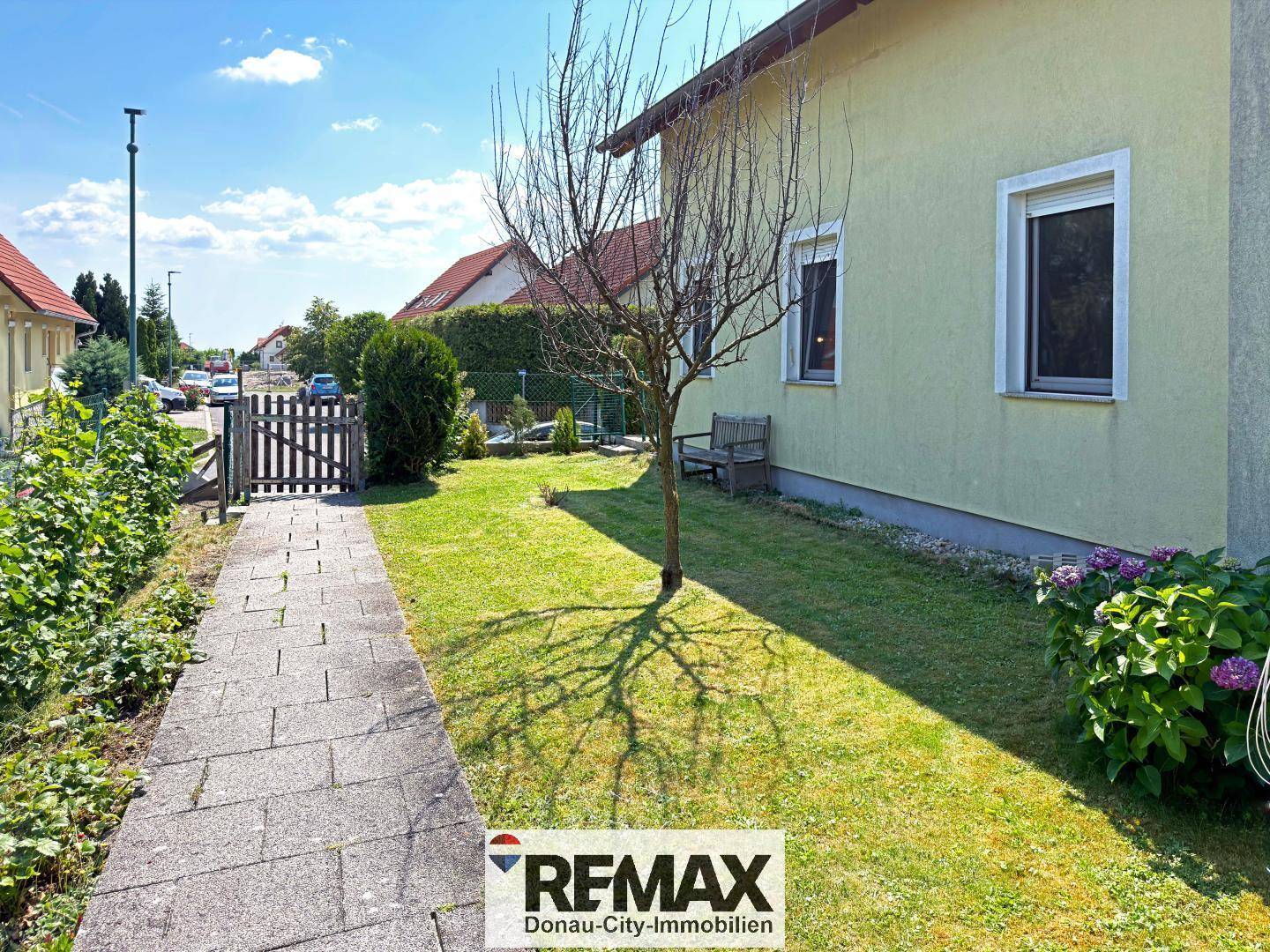 Gepflegter Gartenbereich mit Rasenfläche, Gehweg und jungem Baum.