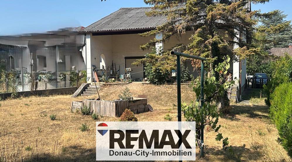 Großer, pflegeleichter Garten hinter dem Haus mit Baumbestand und viel Potenzial.