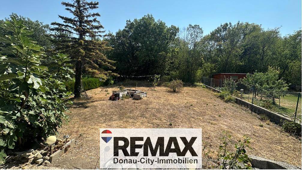 Großer, sonniger Garten mit Baumbestand und viel Platz für Freizeitaktivitäten.