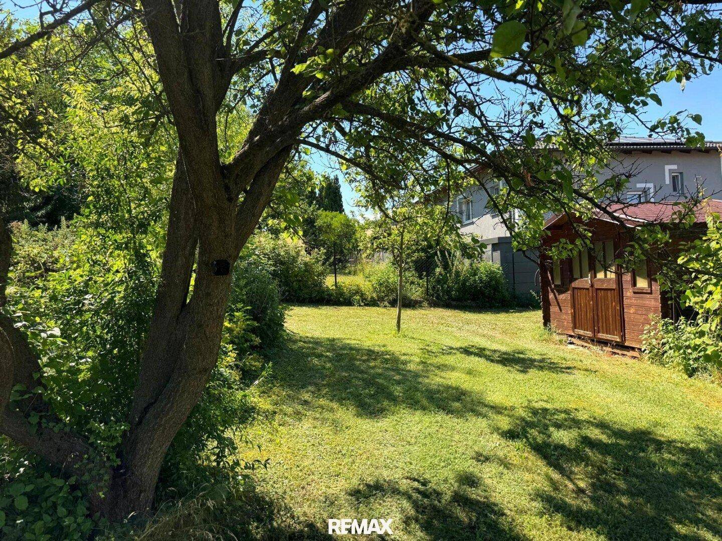 Grüner Garten mit großem Baum, einem Holzgartenhaus und einem Wohngebäude im Hintergrund.