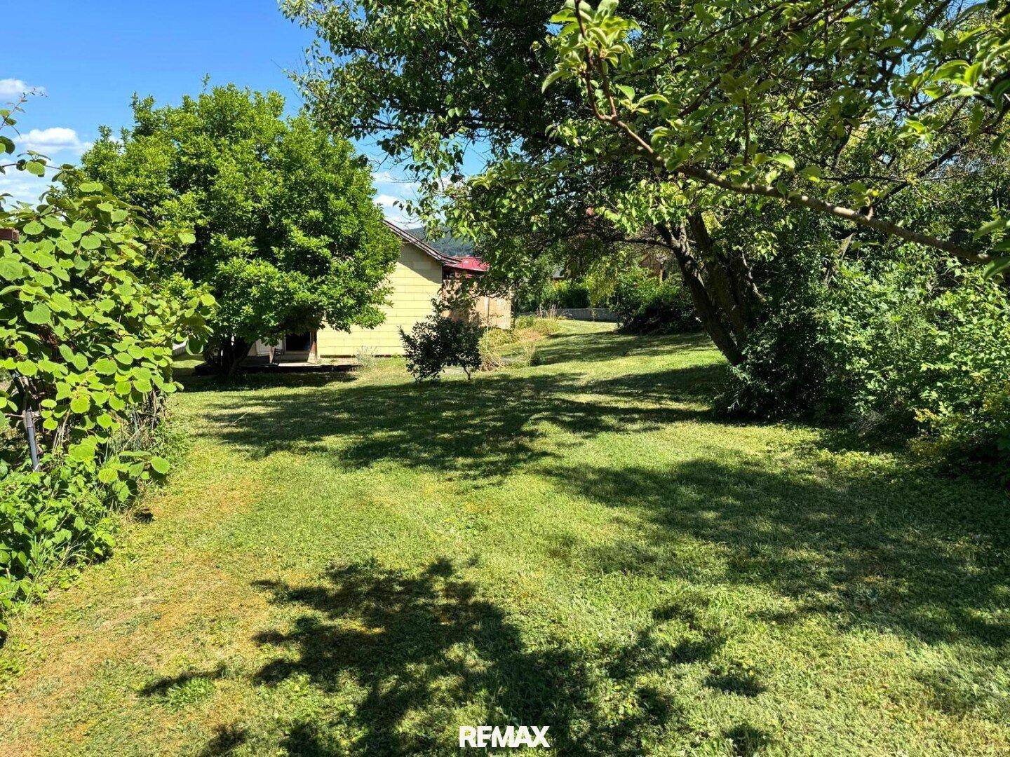 Weitläufiger Garten mit Rasenfläche, umgeben von Bäumen und Sträuchern, mit einem Haus im Hintergrund.