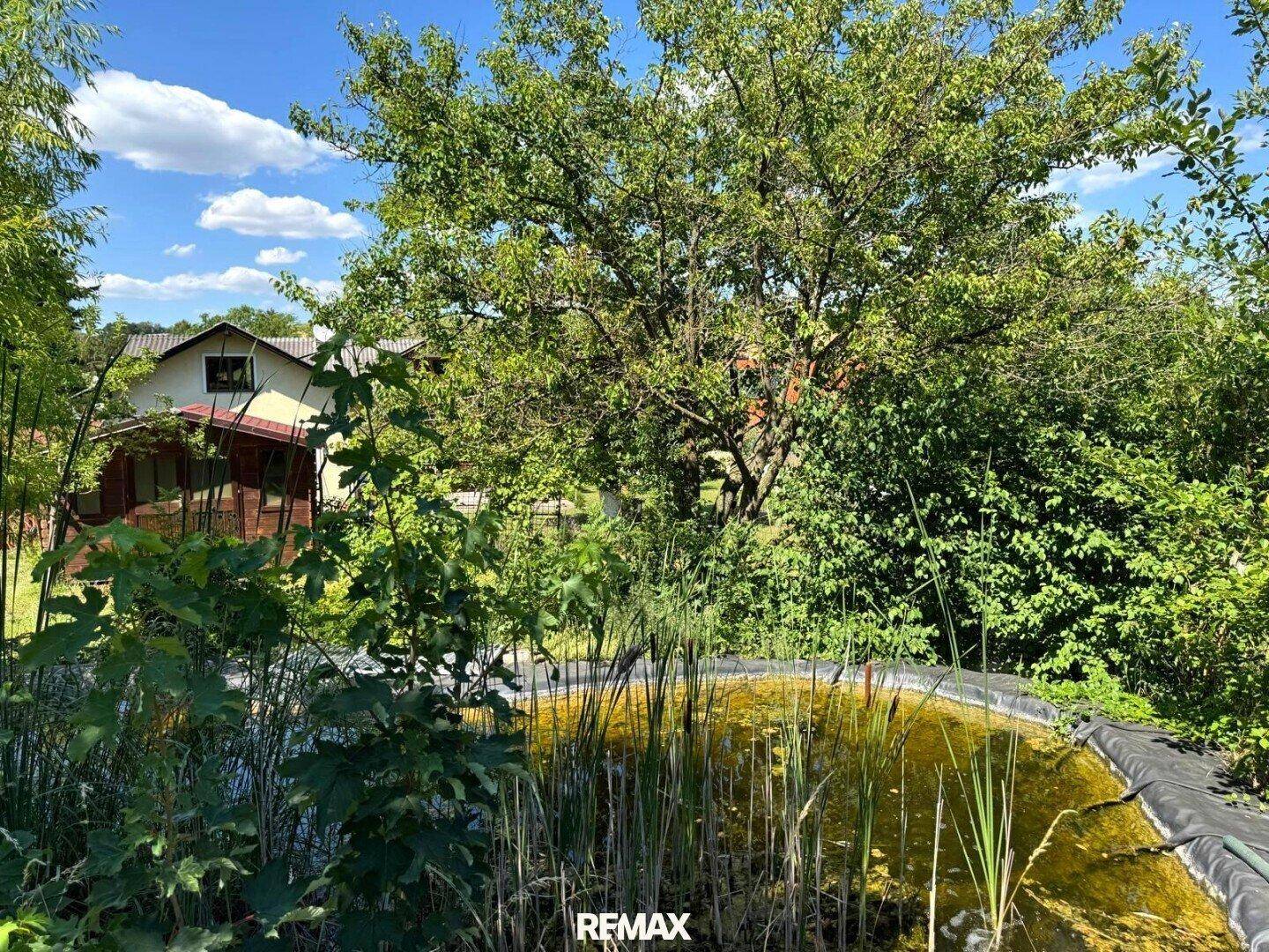 Naturnaher Gartenteich mit üppiger Bepflanzung und einem Haus im Hintergrund unter blauem Himmel.
