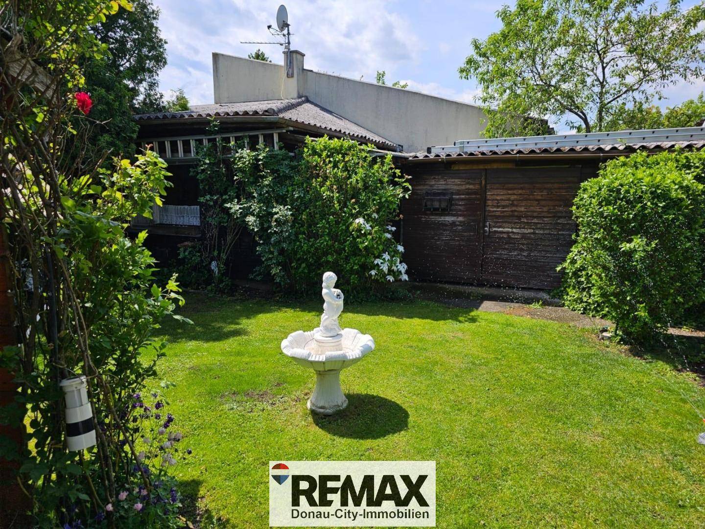 Sonniger Gartenbereich mit Rasen, einem dekorativen Brunnen und einem Holzschuppen.