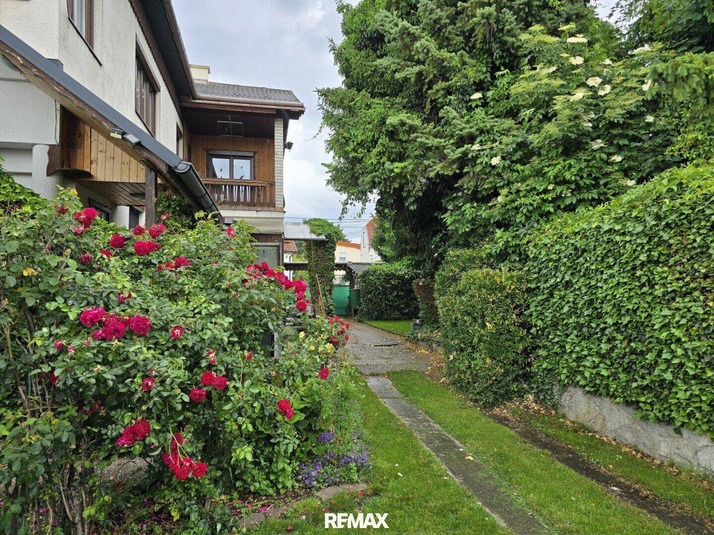 Grüner Gartenweg mit blühenden Rosen und dicht bewachsenen Hecken entlang des Hauses.