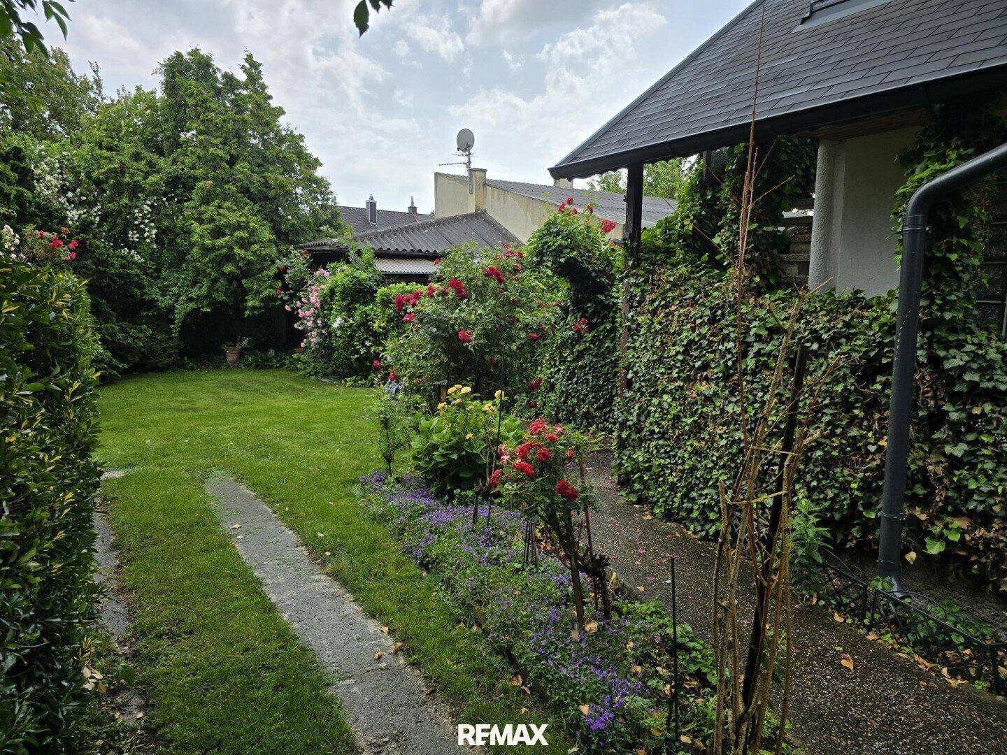 Gartenweg entlang des Hauses mit üppigen Rosenbüschen und grüner Bepflanzung.