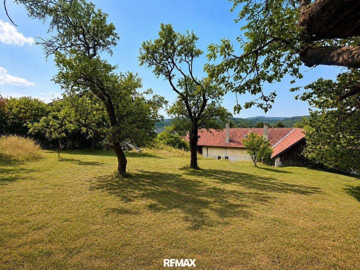 Große grüne Wiese mit Obstbäumen und ländlichen Häusern im Hintergrund unter blauem Himmel.