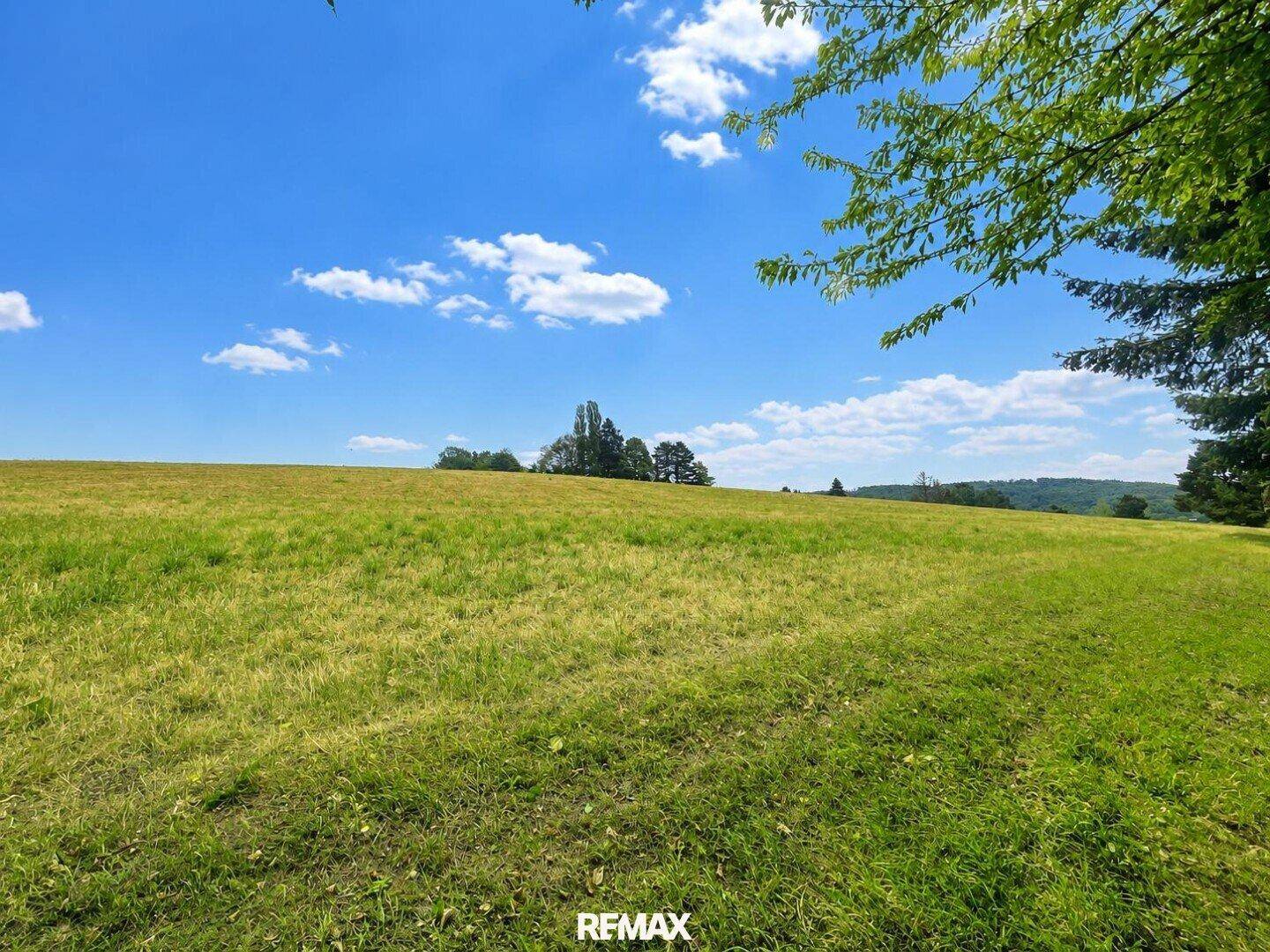 Weite, offene Wiesenlandschaft unter strahlend blauem Himmel mit vereinzelten Bäumen am Horizont.