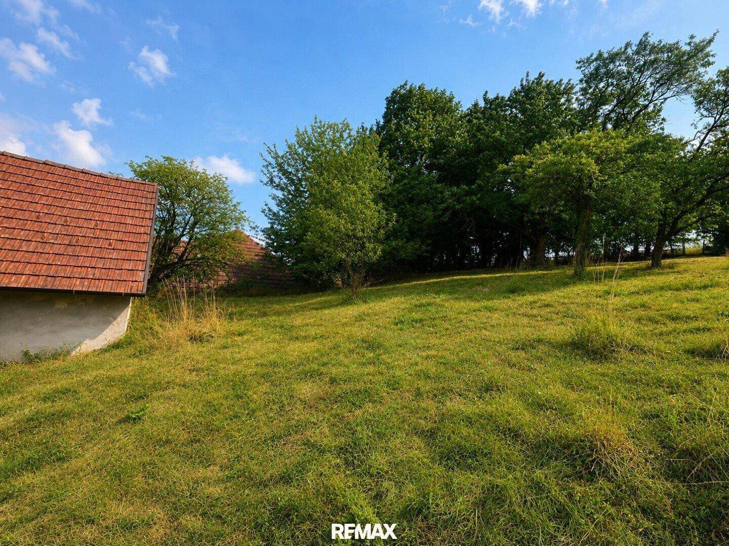 Weitläufige Wiese mit Bäumen und einem Hausdach im Hintergrund bei sonnigem Wetter.