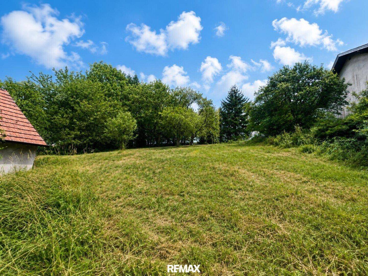 Weitläufige grüne Wiese mit Bäumen und einem Gebäude am Horizont unter blauem Himmel.