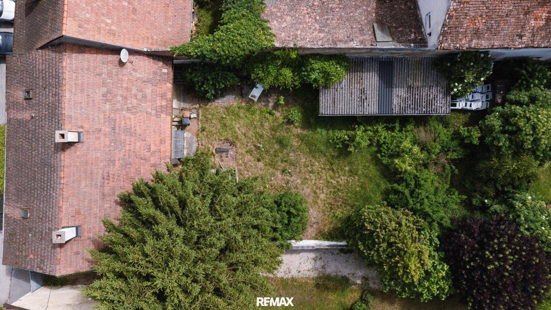 Blick von oben auf einen verwilderten Gartenbereich zwischen mehreren Gebäuden mit viel Grün.