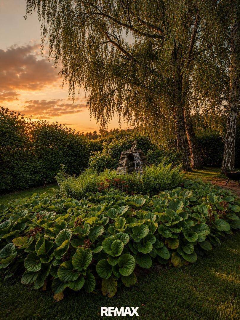 Malerischer Gartenbereich bei Sonnenuntergang mit üppiger Bepflanzung und einem kleinen Wasserfall.