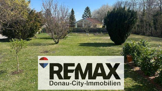 Weitläufiger Garten mit altem Baumbestand und gepflegter Rasenfläche, bietet viel Platz.