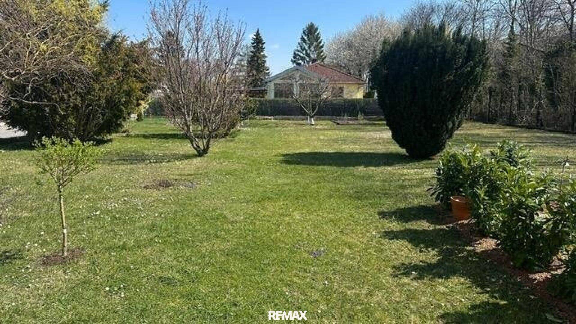 Weitläufiger, gepflegter Garten mit Rasenfläche und verschiedenen Bäumen.
