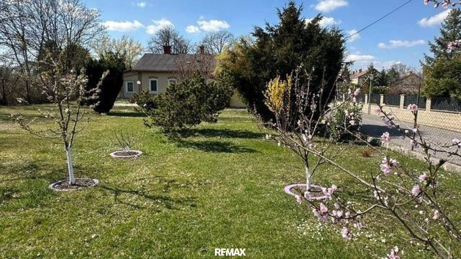Blühender Garten mit jungen Obstbäumen und Rasenfläche vor dem Haus.