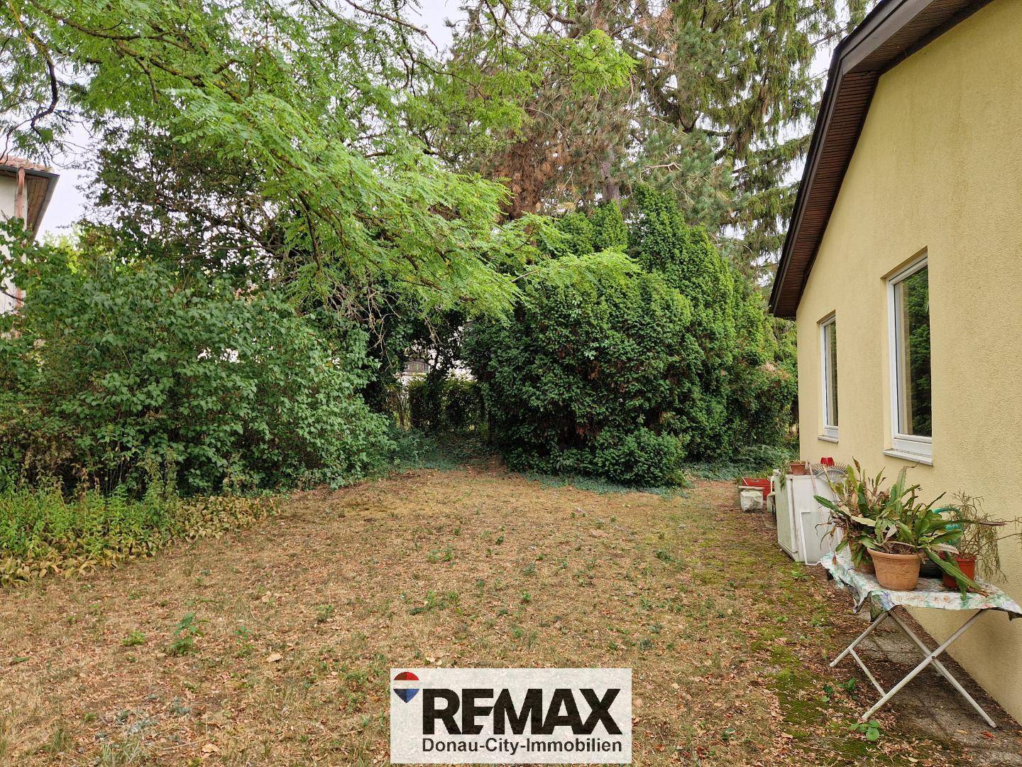 Großer Gartenbereich hinter dem Haus mit Rasenfläche und Bäumen.