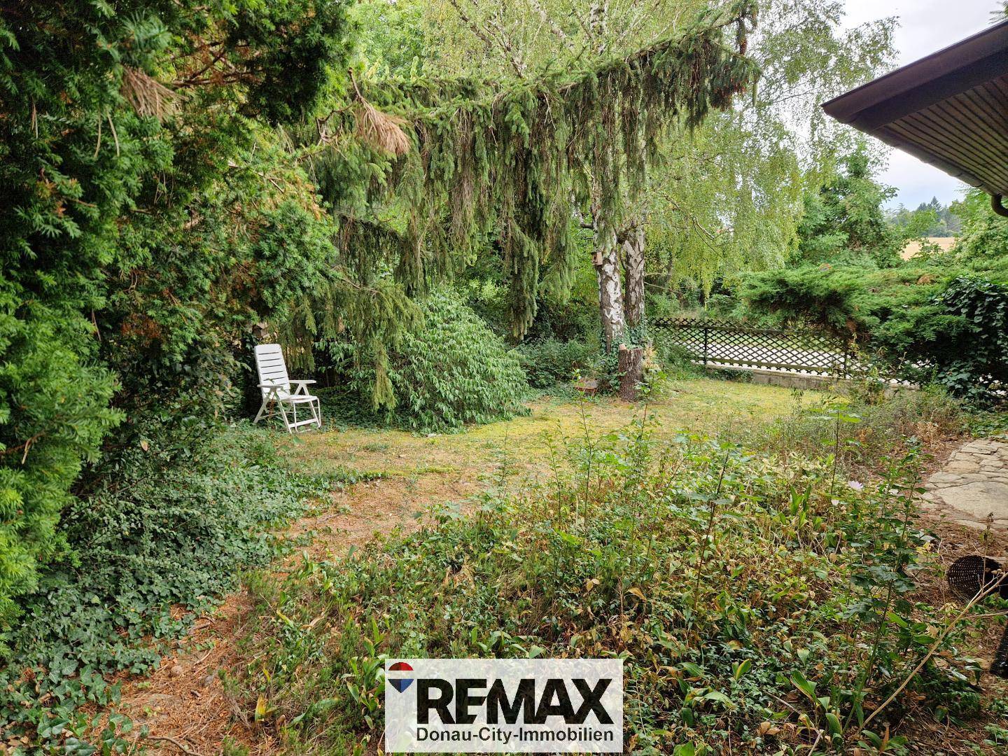 Naturbelassener Gartenbereich mit Bäumen, Sträuchern und einer Sitzgelegenheit.