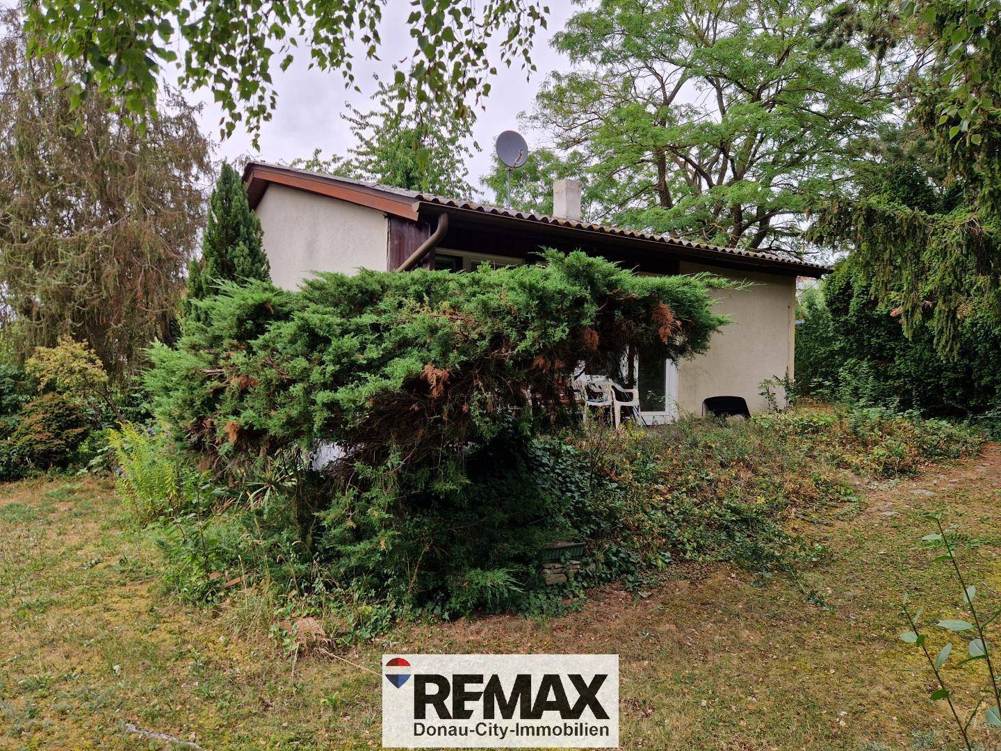 Rückansicht des Hauses mit Terrasse und umgebendem, dicht bewachsenem Garten.