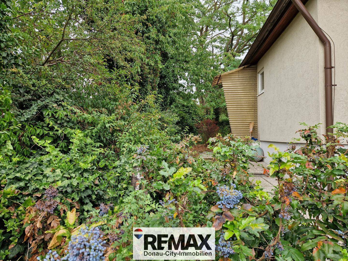 Seitenansicht des Hauses umgeben von dichtem Grün und Sträuchern.