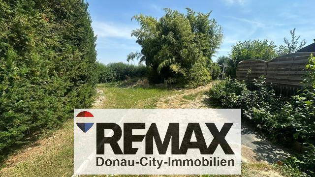 Ein sonniger Gartenbereich mit einem unbefestigten Weg und üppigem Grün.