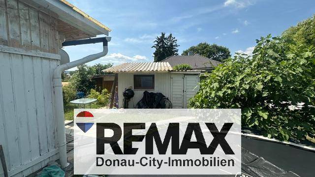 Rückansicht eines einfachen Gartenhauses mit Regenrinne und umgebendem Grün.