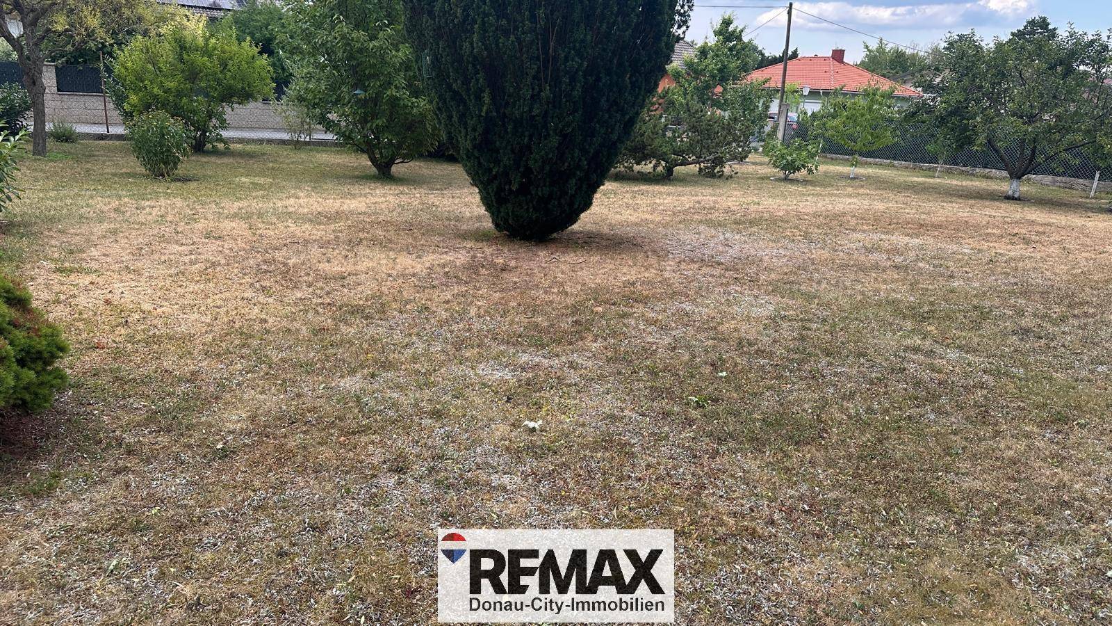 Trockener Rasenbereich im Garten mit einem großen Busch und weiteren Bäumen im Hintergrund.