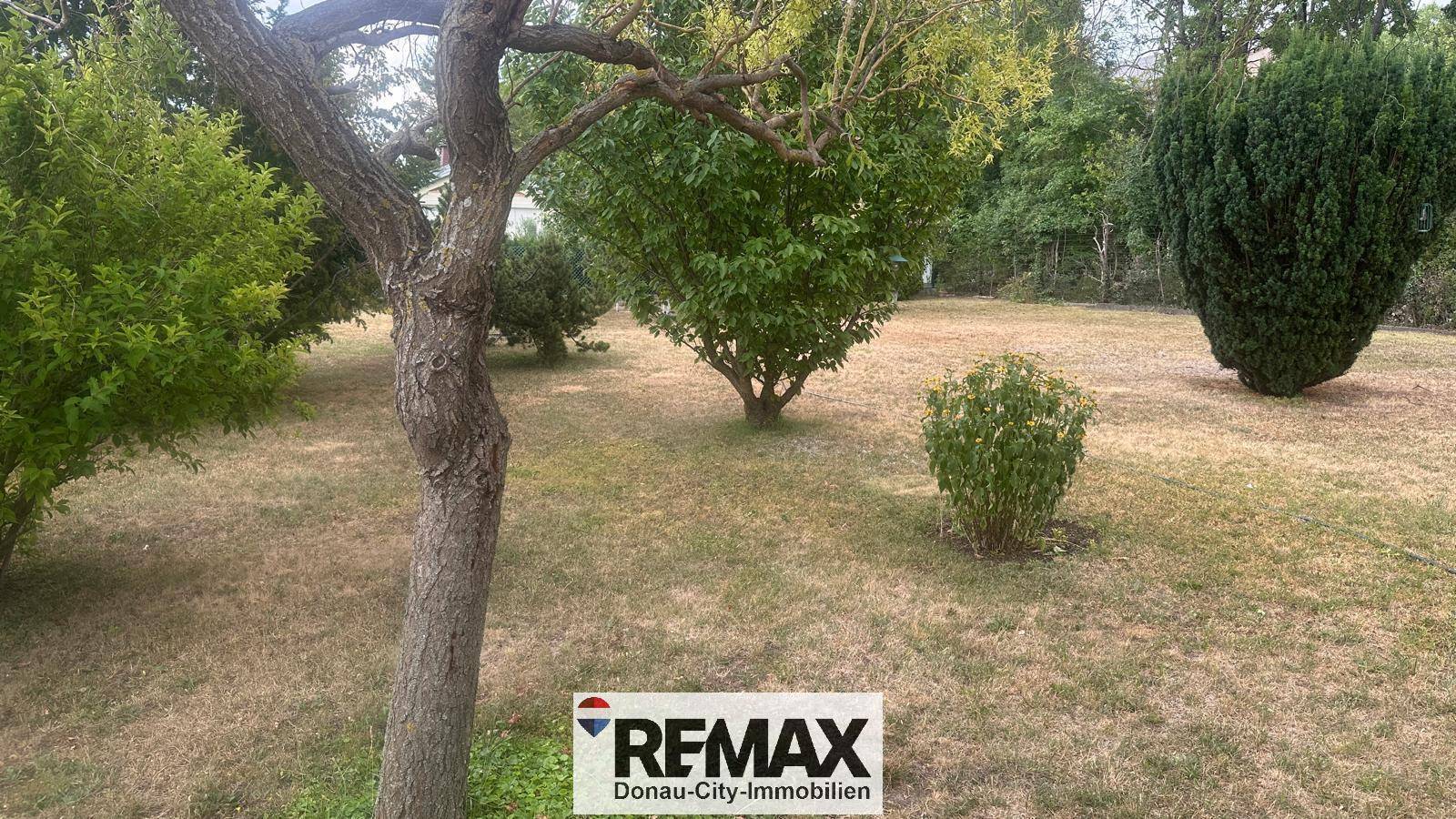 Gartenlandschaft mit trockenem Rasen, verschiedenen Bäumen und Sträuchern.