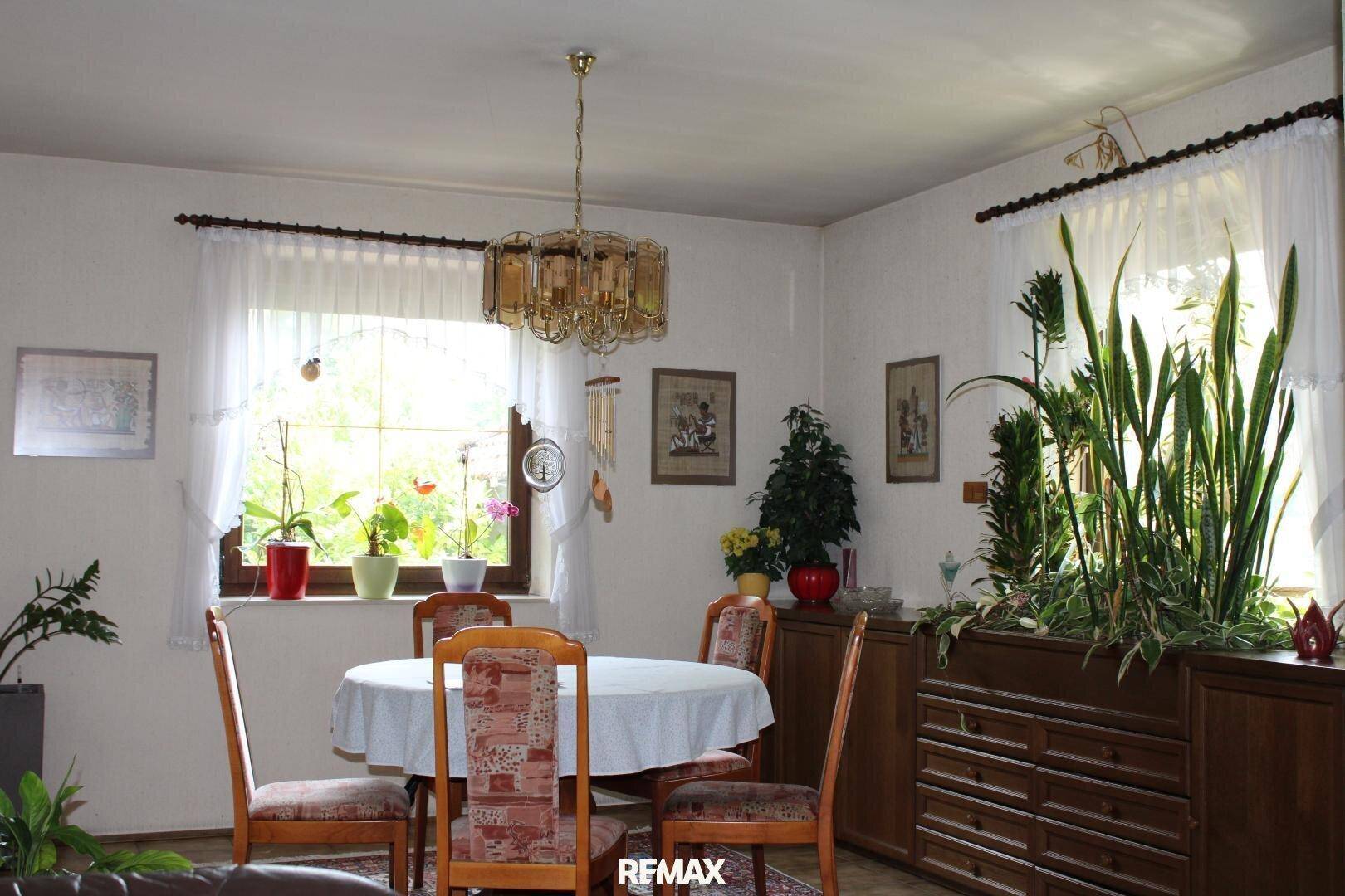 Heller Essbereich mit großem Fenster, Esstisch und vielen Pflanzen, die eine frische Atmosphäre schaffen.