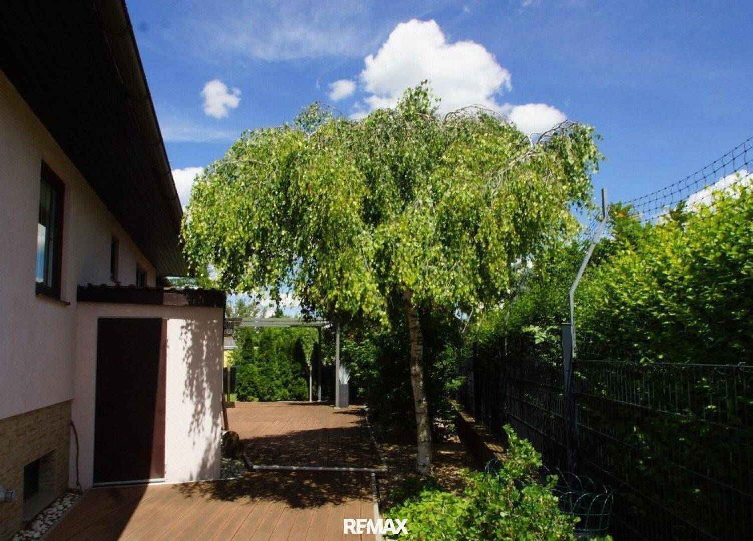 Gartenbereich mit Holzterrasse, großem Baum und kleinem Geräteschuppen im Hintergrund.