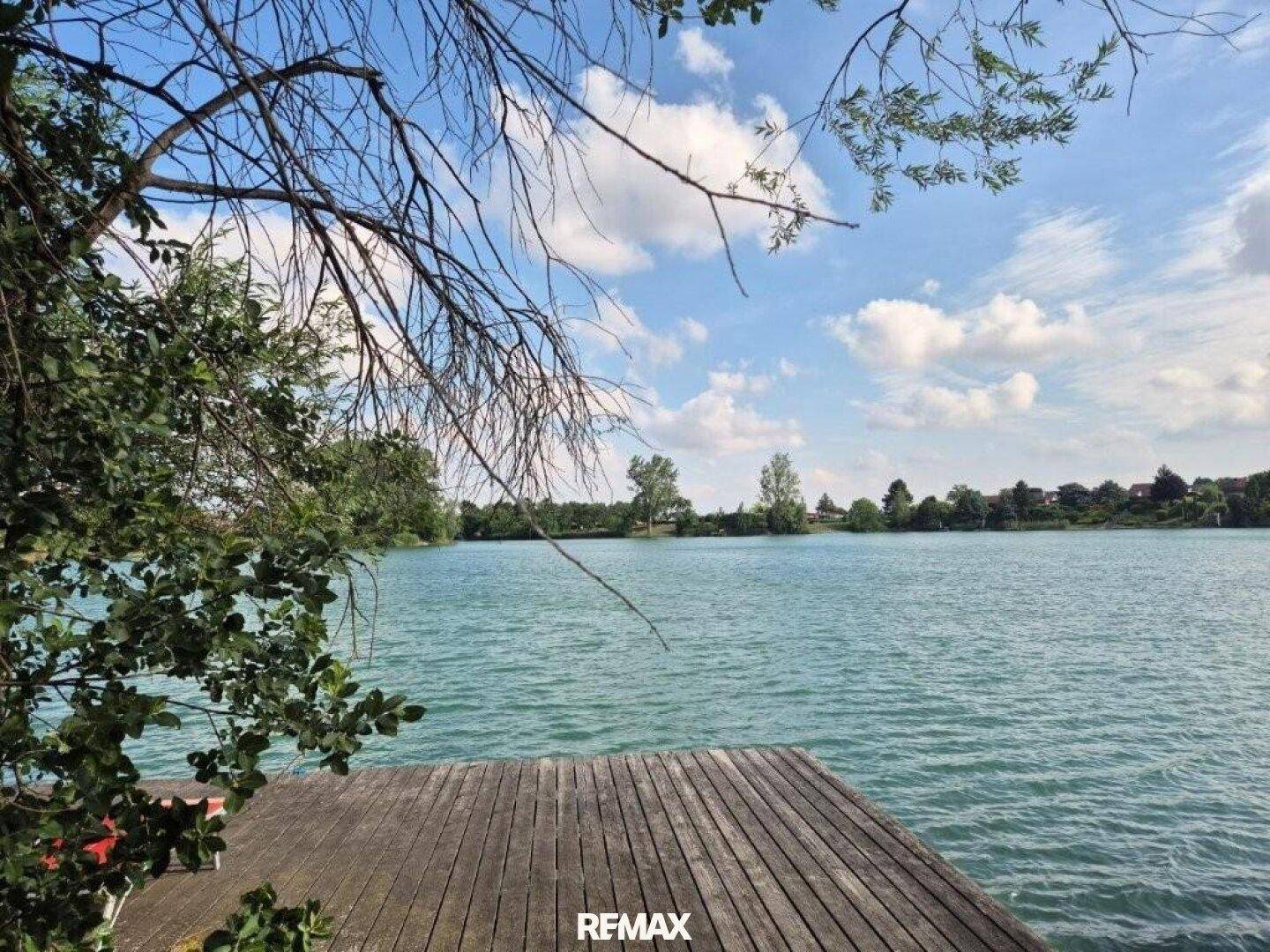 Ruhiger Seeblick von einem Holzsteg, umrahmt von Ästen und grünem Laub.