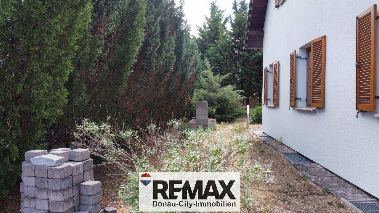 Seite des Hauses mit hohen Nadelbäumen und einem Bereich für Gartenmaterialien.