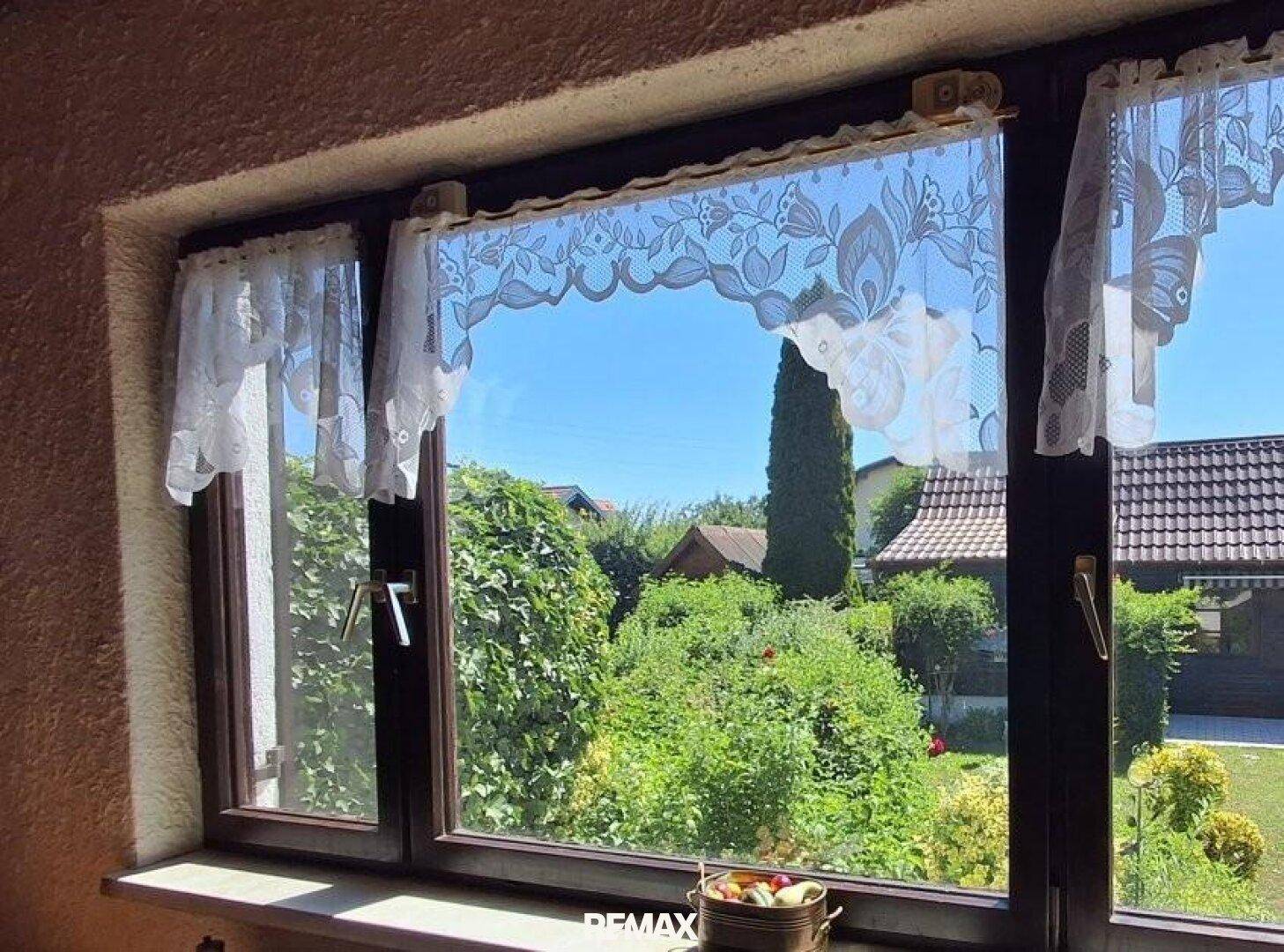 Fensterblick auf den grünen Garten und die umliegende Nachbarschaft an einem sonnigen Tag.