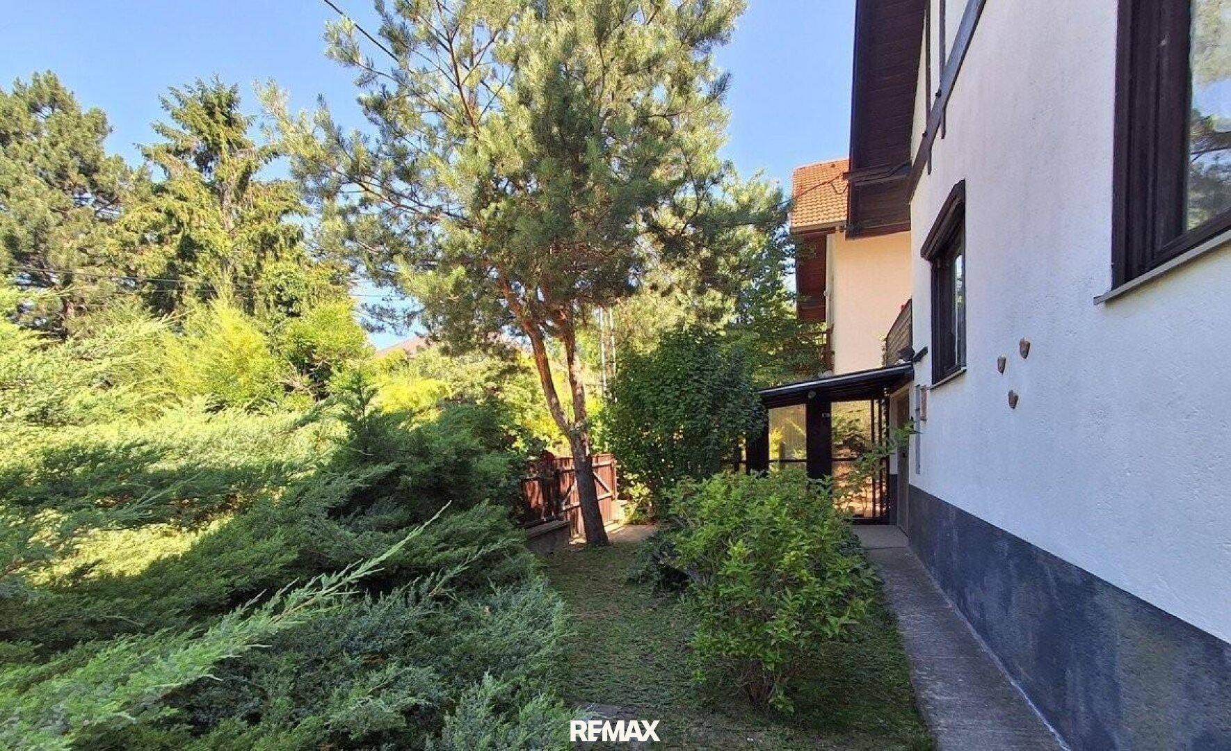 Seitlicher Gartenweg entlang des Hauses, umgeben von üppigem Grün und hohen Bäumen.