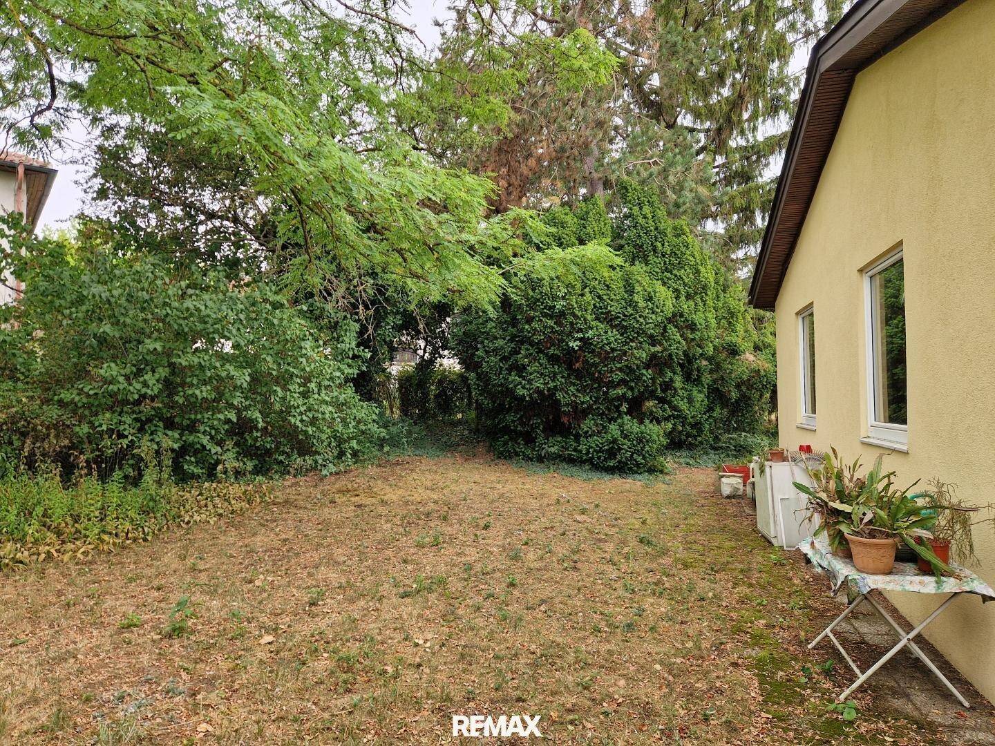Großer, offener Gartenbereich mit Rasenfläche und umgebenden Bäumen.