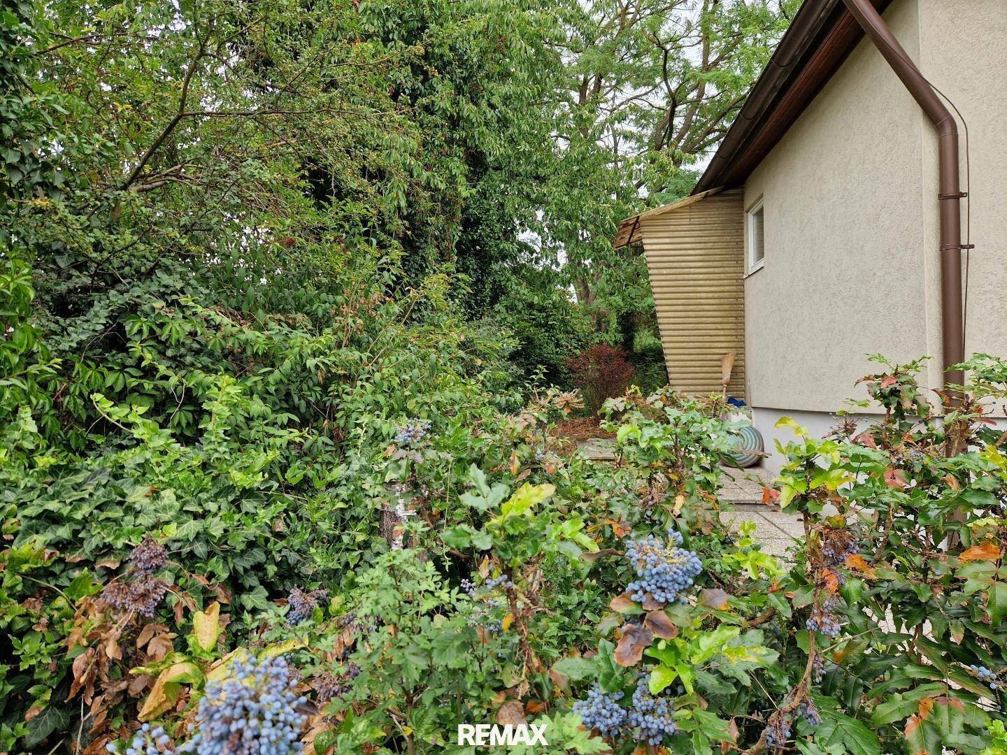 Üppiger Gartenbereich mit verschiedenen Sträuchern und Pflanzen neben dem Haus.