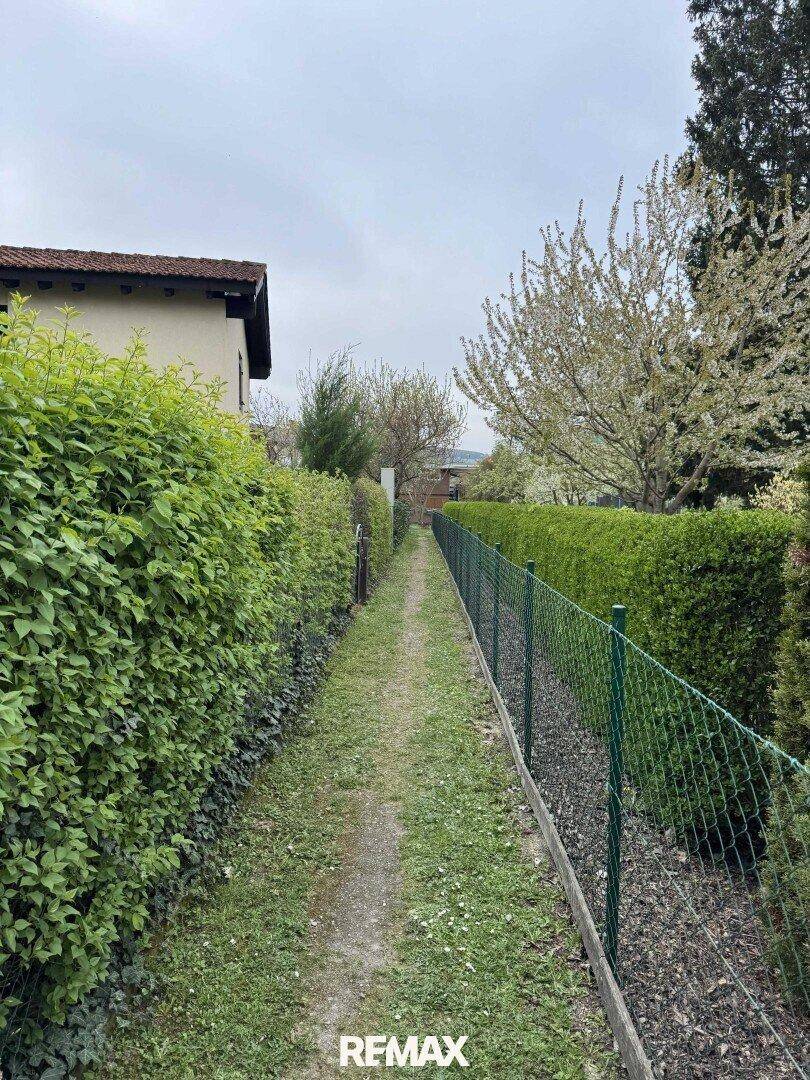 Schmaler Grasweg zwischen hohen Hecken und einem Drahtzaun, der zu einem Grundstück führt.