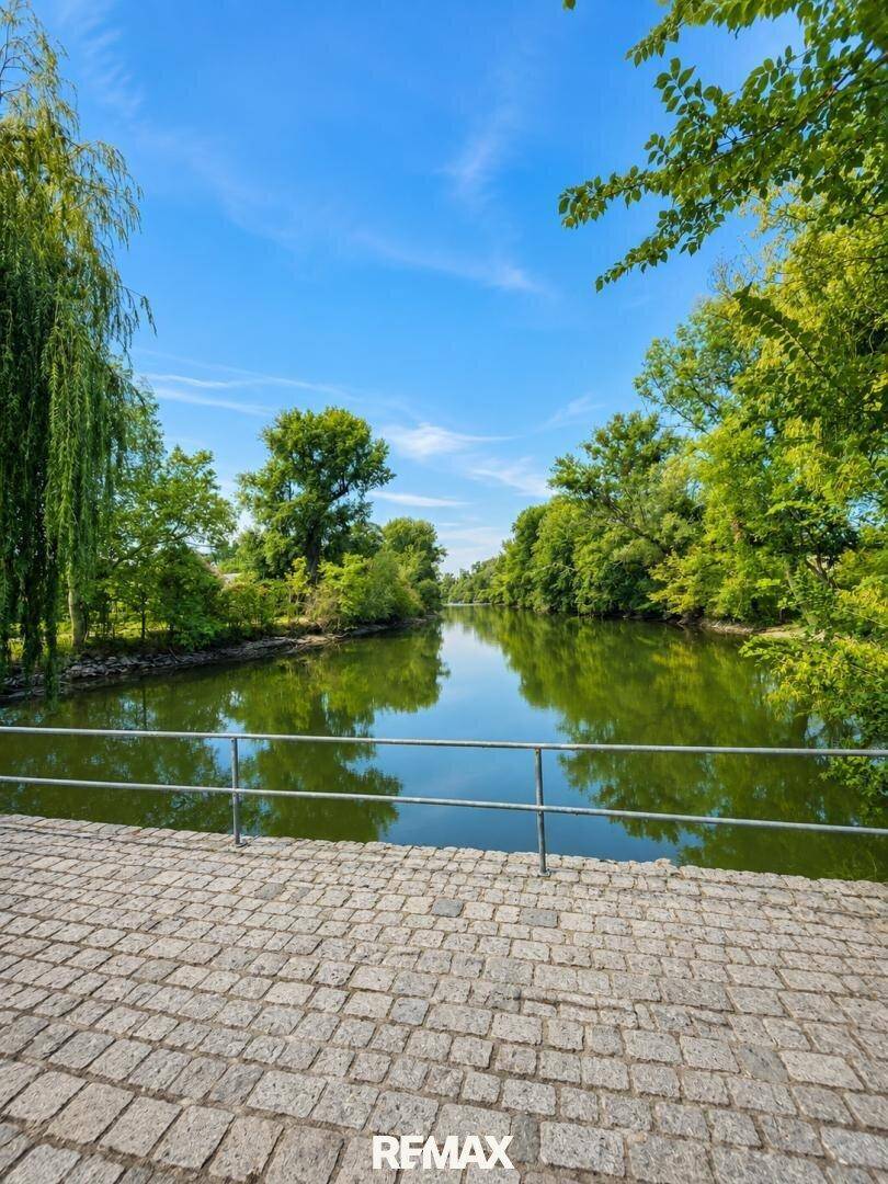 Malerischer Blick auf einen ruhigen Fluss, umgeben von üppigen Bäumen.