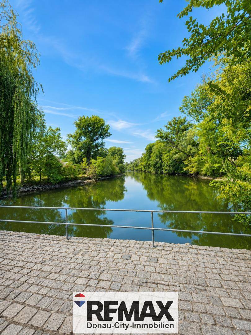 Malerischer Blick auf einen ruhigen Fluss, umgeben von üppigem Grün und Bäumen.