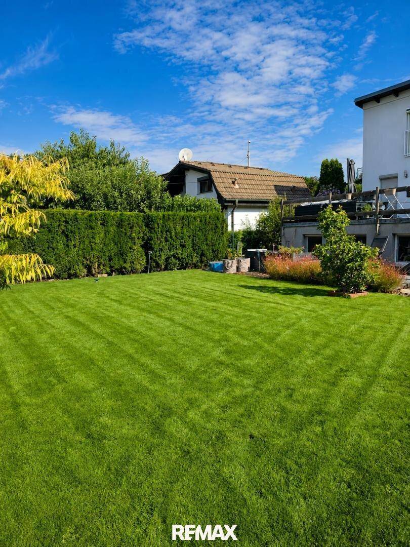 Gepflegter Rasen im Garten mit hohen Hecken und umliegenden Häusern.